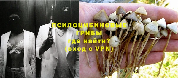 шишки Алексин