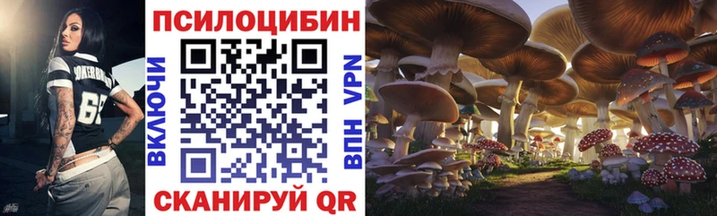 Псилоцибиновые грибы ЛСД  Жуковка 